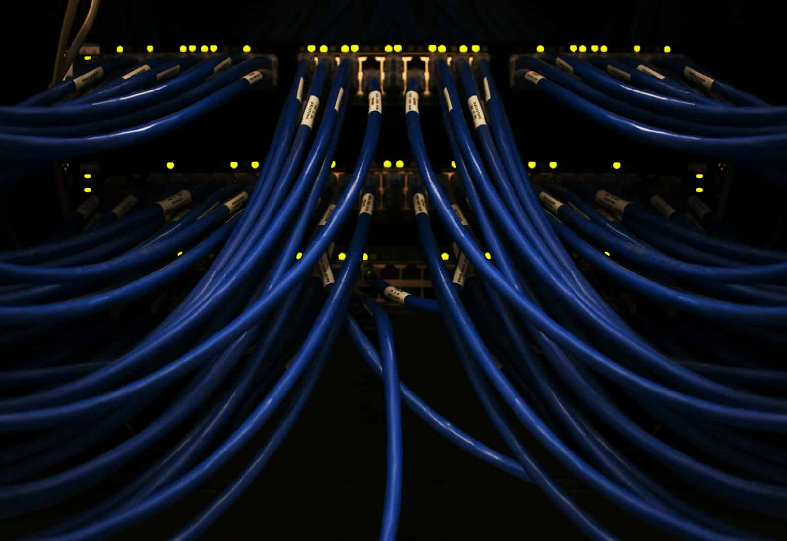 MuleSoft mit Beyond Digital: Blaue Netzwerkkabel laufen geordnet in einen beleuchteten Switch im Rechenzentrum