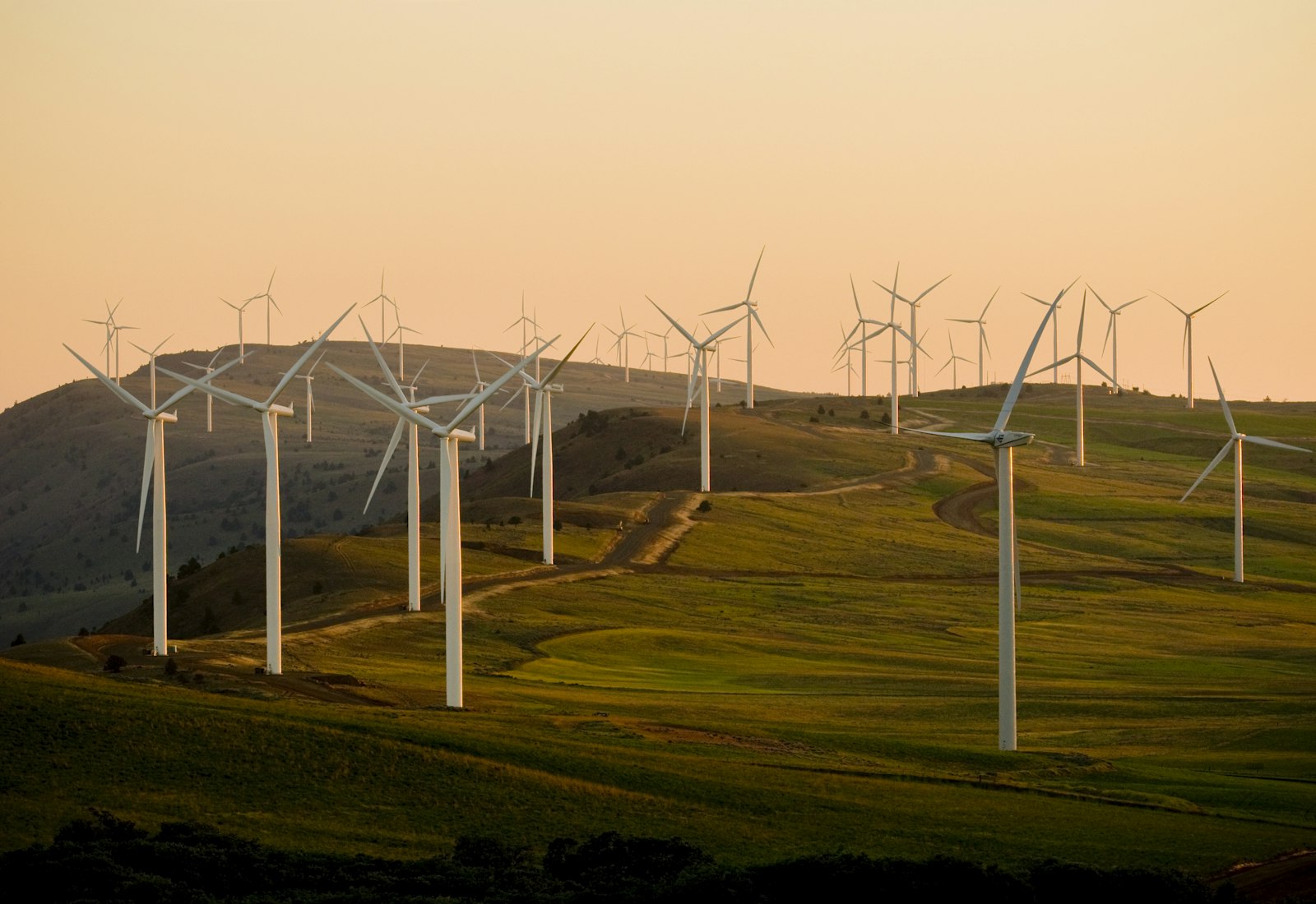Salesforce Energy & Utilities Cloud Beratung von Beyond Digital: Windpark mit zahlreichen Windrädern auf grünen Hügeln im warmen Abendlicht