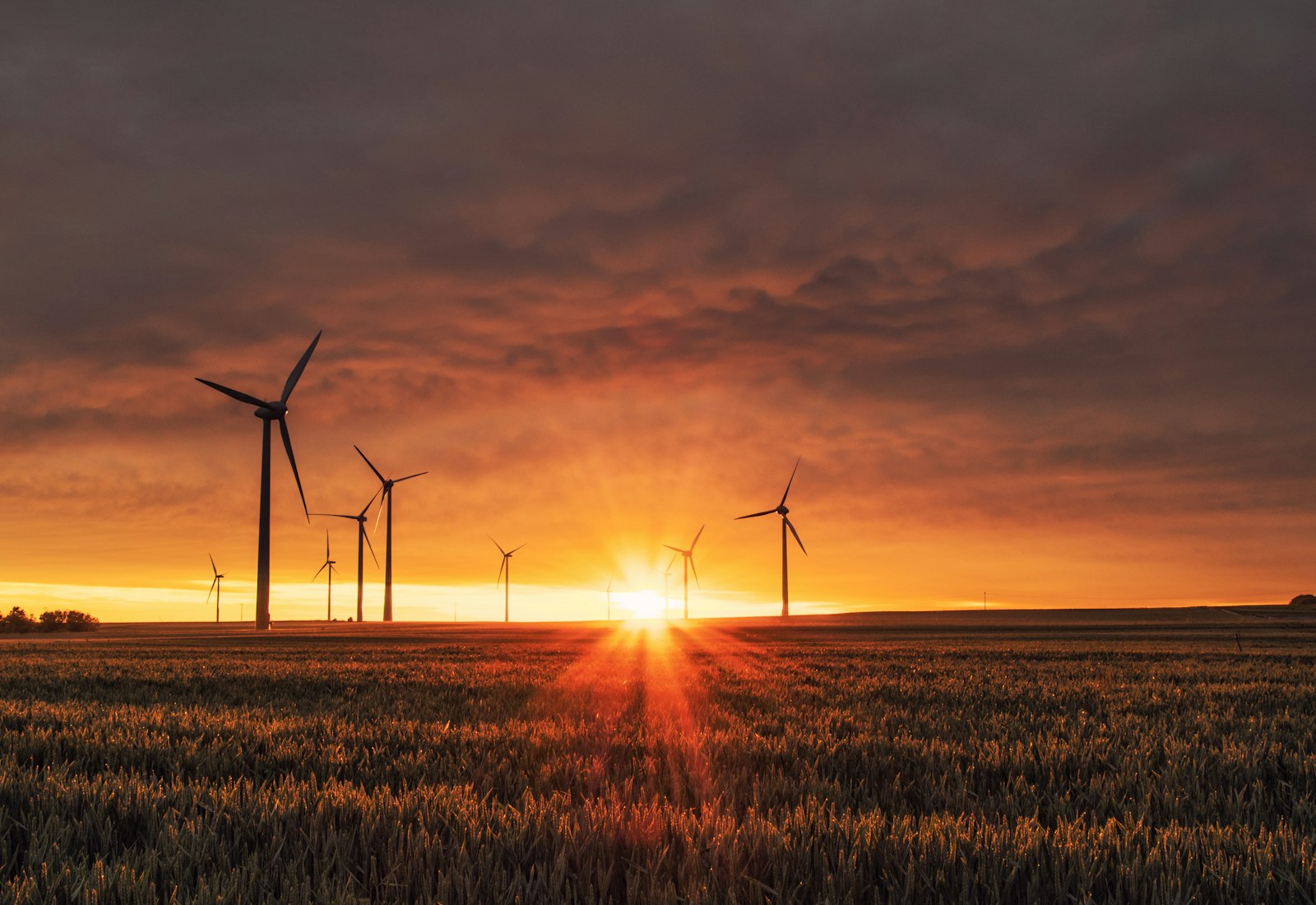 Salesforce Net Zero Cloud mit Beyond Digital: Windräder auf einem Feld vor orangefarbenem Himmel bei Sonnenuntergang